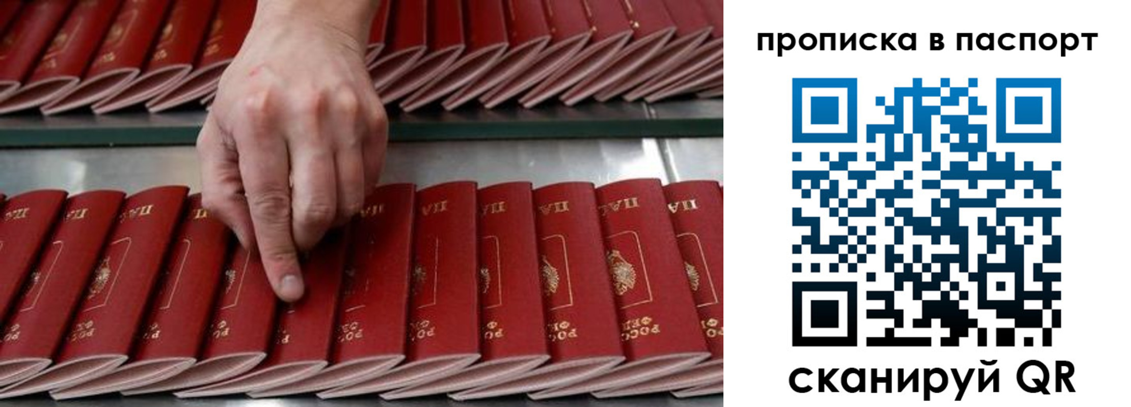регистрация для школы в Медвежьегорске